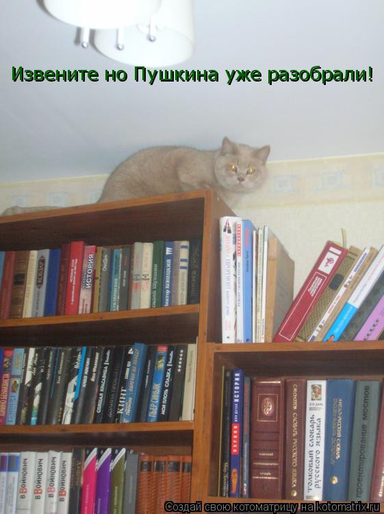 Извените но Пушкина уже разобрали!... Котоматрица: Извените но Пушкина уже разобрали!