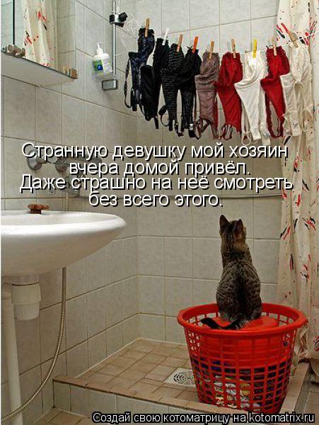 Странную девушку мой хозяин вчера домой привёл. Даже страшно на неё смотреть без всего этого.... Котоматрица: Странную девушку мой хозяин вчера домой привёл. Даже страшно на неё смотреть без всего этого.