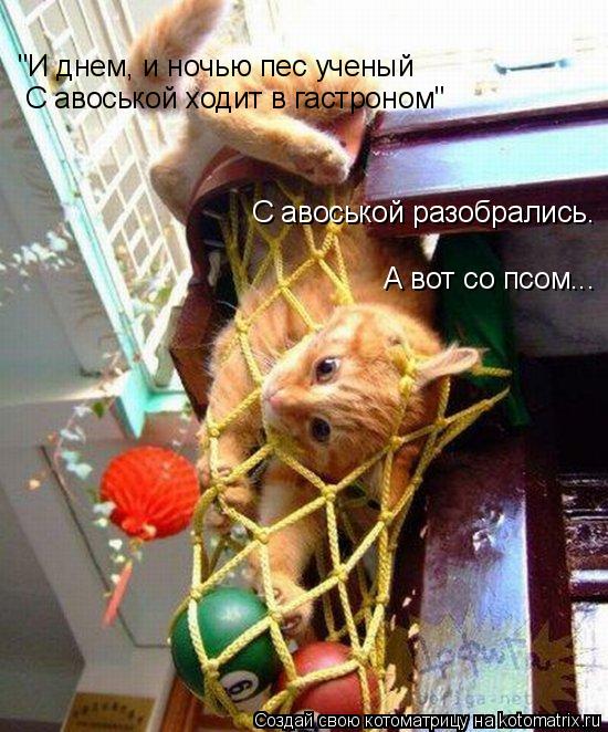 "И днем, и ночью пес ученый С авоськой ходит в гастроном" С авоськой разобрались. А вот со псом...... Котоматрица: "И днем, и ночью пес ученый С авоськой ходит в гастроном" С авоськой разобрались. А вот со псом...