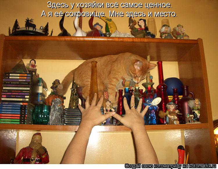 Здесь у хозяйки всё самое ценное. А я её сокровище. Мне здесь и место.... Котоматрица: Здесь у хозяйки всё самое ценное. А я её сокровище. Мне здесь и место.