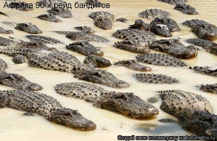 Африка 90-х:рейд бандитов... Котоматрица: Африка 90-х:рейд бандитов
