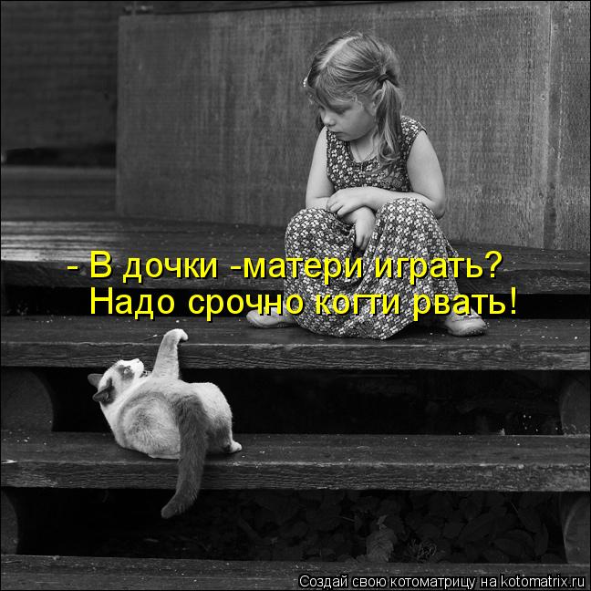 Котоматрица: - В дочки -матери играть? Надо срочно когти рвать!