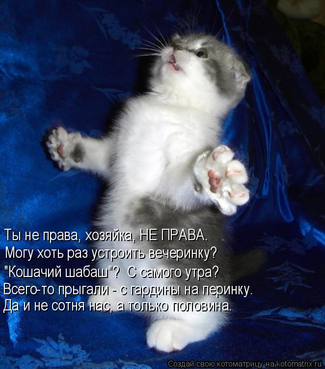 Ты не права, хозяйка, НЕ ПРАВА. Могу хоть раз устроить вечеринку? "Кошачий шабаш"? С самого утра? Вс... Котоматрица: Ты не права, хозяйка, НЕ ПРАВА. Могу хоть раз устроить вечеринку? "Кошачий шабаш"? С самого утра? Всего-то прыгали - с гардины на перинку. Да и н