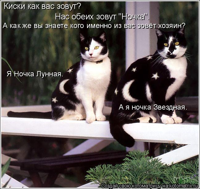 Нас обеих зовут "Ночка". Киски как вас зовут? А как же вы знаете кого именно из вас зовёт хозяин? Я Н... Котоматрица: Нас обеих зовут "Ночка". Киски как вас зовут? А как же вы знаете кого именно из вас зовёт хозяин? Я Ночка Лунная. А я ночка Звездная.