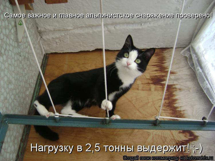 Самое важное и главное альпинистское снаряжение проверено! Нагрузку в 2,5 тонны выдержит! ;-)... Котоматрица: Самое важное и главное альпинистское снаряжение проверено! Нагрузку в 2,5 тонны выдержит! ;-)