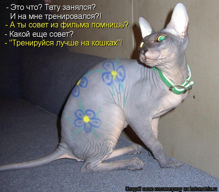 - Это что? Тату занялся? И на мне тренировался?! - А ты совет из фильма помнишь? - Какой еще совет? -... Котоматрица: - Это что? Тату занялся? И на мне тренировался?! - А ты совет из фильма помнишь? - Какой еще совет? - "Тренируйся лучше на кошках"!