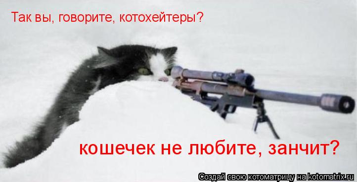 Так вы, говорите, котохейтеры? кошечек не любите, занчит?... Котоматрица: Так вы, говорите, котохейтеры? кошечек не любите, занчит?