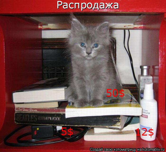 Распродажа 50$ 5$ 12$... Котоматрица: Распродажа 50$ 5$ 12$