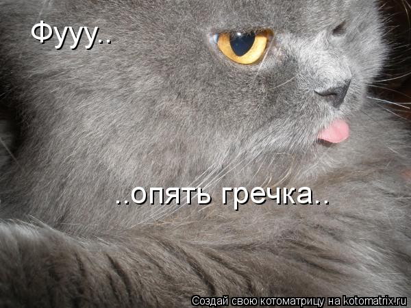Фууу.. ..опять гречка..... Котоматрица: Фууу.. ..опять гречка..