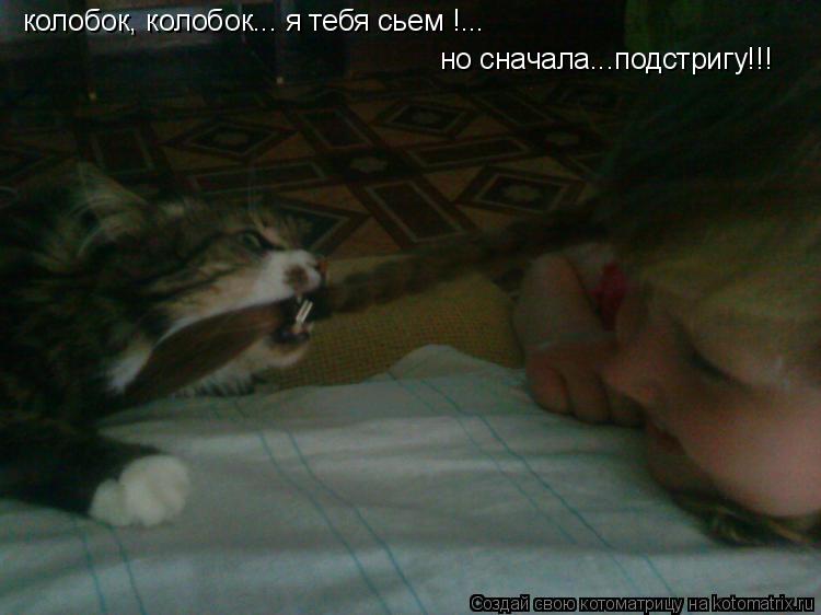 колобок, колобок... я тебя сьем !... колобок, колобок... я тебя сьем !...но сначала...подстригу!!! но... Котоматрица: колобок, колобок... я тебя сьем !... колобок, колобок... я тебя сьем !...но сначала...подстригу!!! но сначала...подстригу!!!