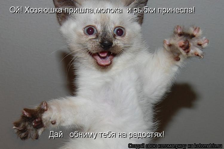Котоматрица: Ой! Хозяюшка пришла,молока  и рыбки принесла! Дай   обниму тебя на радостях!