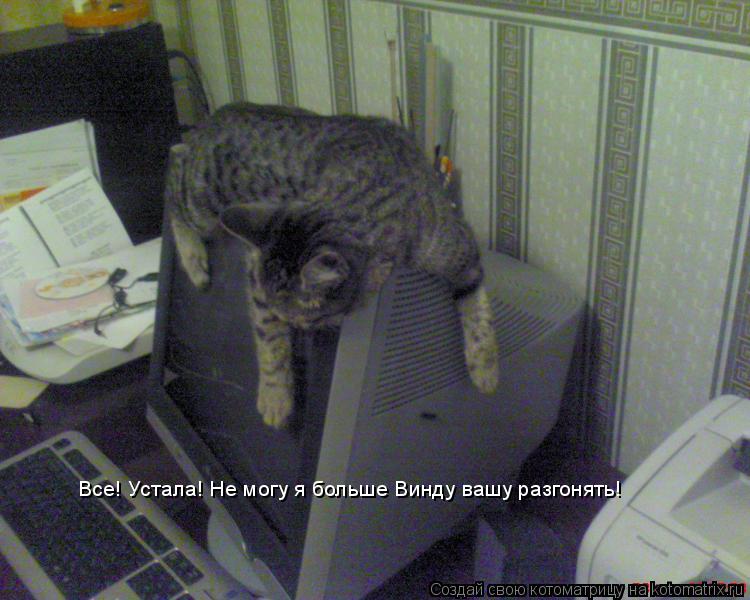 Котоматрица: Все! Устала! Не могу я больше Винду вашу разгонять!