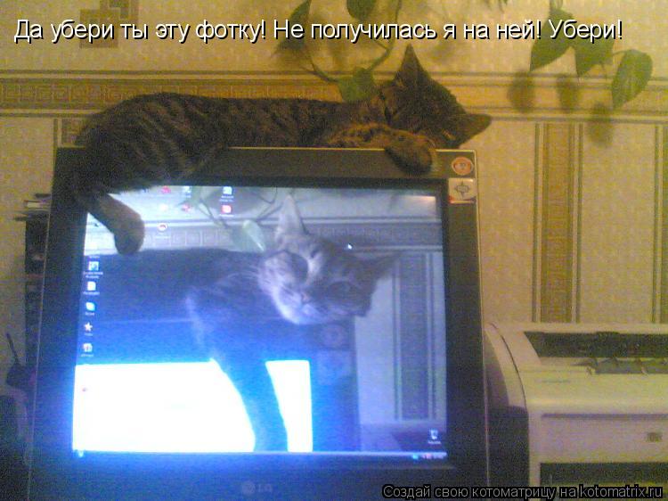 Котоматрица: Да убери ты эту фотку! Не получилась я на ней! Убери!
