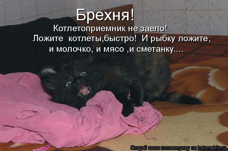 Котоматрица: Брехня! Котлетоприемник не заело! Ложите  котлеты,быстро!  И рыбку ложите, и молочко, и мясо ,и сметанку....