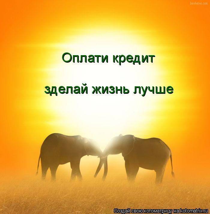 Котоматрица: Оплати кредит зделай жизнь лучше