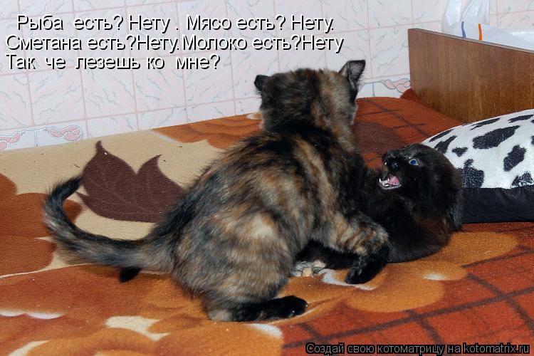 Рыба есть? Нету . Мясо есть? Нету. Сметана есть?Нету.Молоко есть?Нету Так че лезешь ко мне?... Котоматрица: Рыба есть? Нету . Мясо есть? Нету. Сметана есть?Нету.Молоко есть?Нету Так че лезешь ко мне?