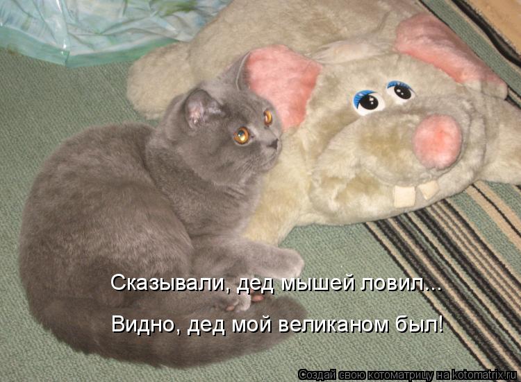 Котоматрица: Видно, дед мой великаном был! Сказывали, дед мышей ловил...