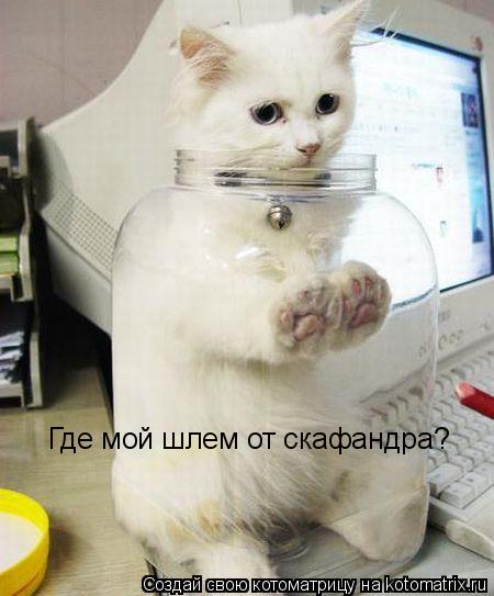 Где мой шлем от скафандра?... Котоматрица: Где мой шлем от скафандра?