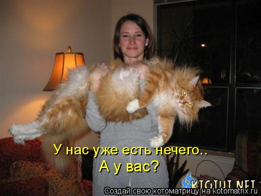 У нас уже есть нечего.. А у вас?... Котоматрица: У нас уже есть нечего.. А у вас?