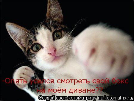 -Опять уселся смотреть свой бокс на моём диване??... Котоматрица: -Опять уселся смотреть свой бокс на моём диване??