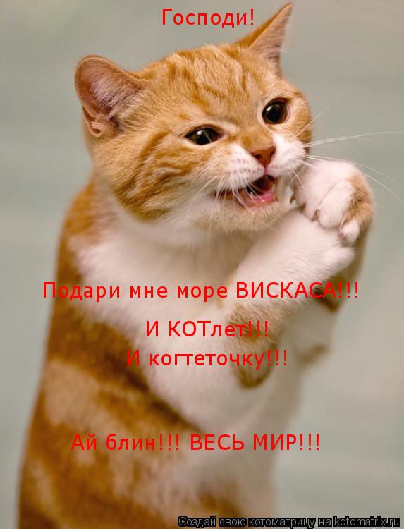 Господи! Подари мне море ВИСКАСА!!! И КОТлет!!! И когтеточку!!! Ай блин!!! ВЕСЬ МИР!!!... Котоматрица: Господи! Подари мне море ВИСКАСА!!! И КОТлет!!! И когтеточку!!! Ай блин!!! ВЕСЬ МИР!!!