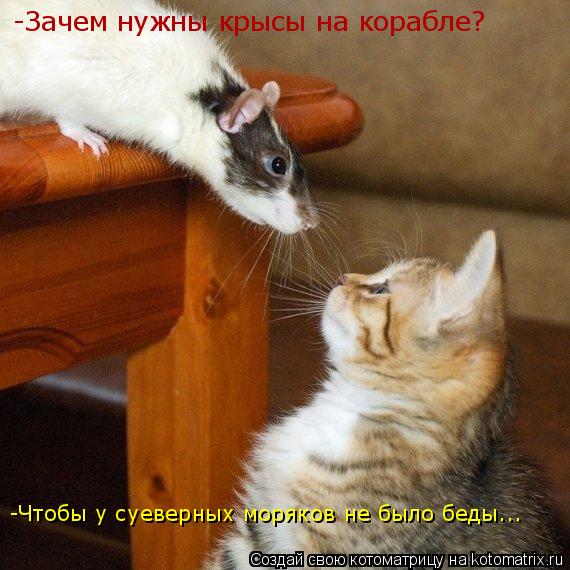 -Зачем нужны крысы на корабле? -Чтобы у суеверных моряков не было беды...... Котоматрица: -Зачем нужны крысы на корабле? -Чтобы у суеверных моряков не было беды...