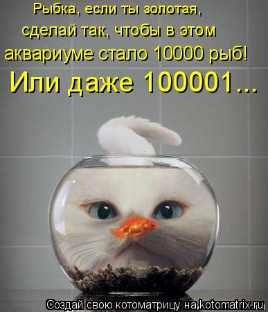 Рыбка, если ты золотая, сделай так, чтобы в этом аквариуме стало 10000 рыб! Или даже 100001...... Котоматрица: Рыбка, если ты золотая, сделай так, чтобы в этом аквариуме стало 10000 рыб! Или даже 100001...