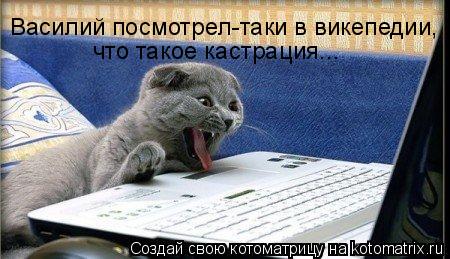 Василий посмотрел-таки в викепедии, что такое кастрация...... Котоматрица: Василий посмотрел-таки в викепедии, что такое кастрация...