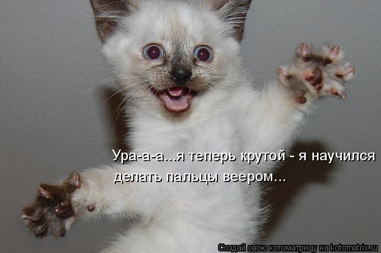 Ура-а-а...я теперь крутой - я научился делать пальцы веером...... Котоматрица: Ура-а-а...я теперь крутой - я научился делать пальцы веером...