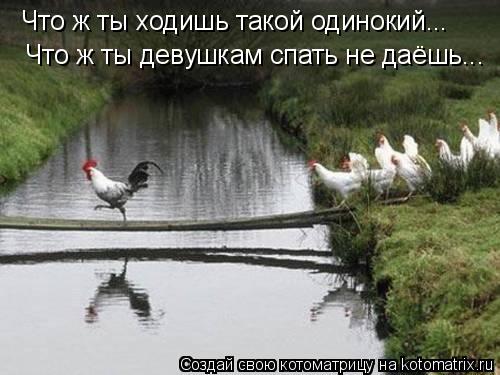 Что ж ты ходишь такой одинокий... Что ж ты девушкам спать не даёшь...... Котоматрица: Что ж ты ходишь такой одинокий... Что ж ты девушкам спать не даёшь...