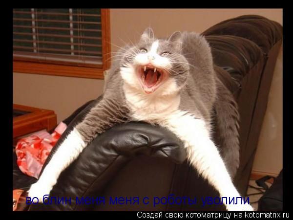 во блин меня меня с роботы уволили... Котоматрица: во блин меня меня с роботы уволили