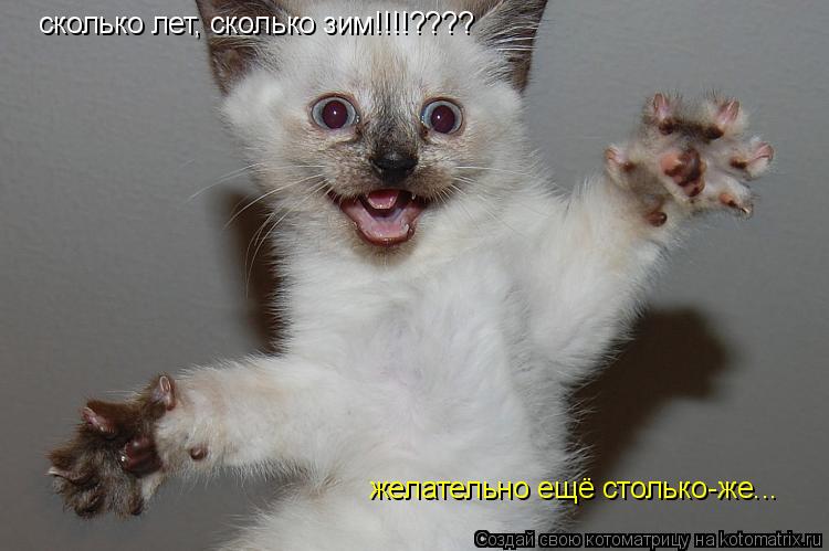 сколько лет, сколько зим!!!!???? желательно ещё столько-же...... Котоматрица: сколько лет, сколько зим!!!!???? желательно ещё столько-же...