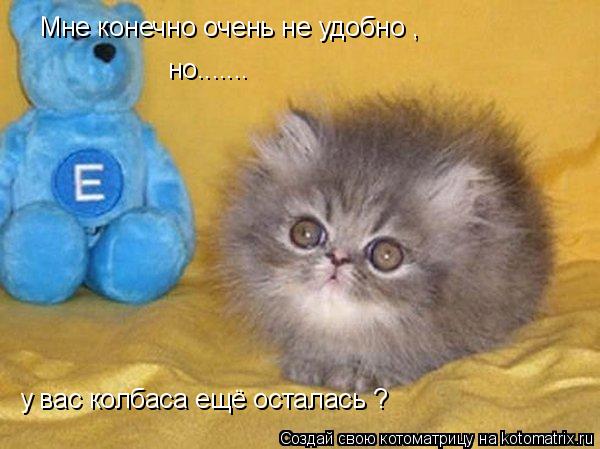 Мне конечно очень не удобно , но....... у вас колбаса ещё осталась ?... Котоматрица: Мне конечно очень не удобно , но....... у вас колбаса ещё осталась ?