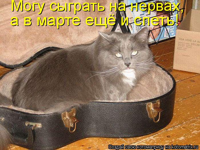 Могу сыграть на нервах, а в марте ещё и спеть!... Котоматрица: Могу сыграть на нервах, а в марте ещё и спеть!