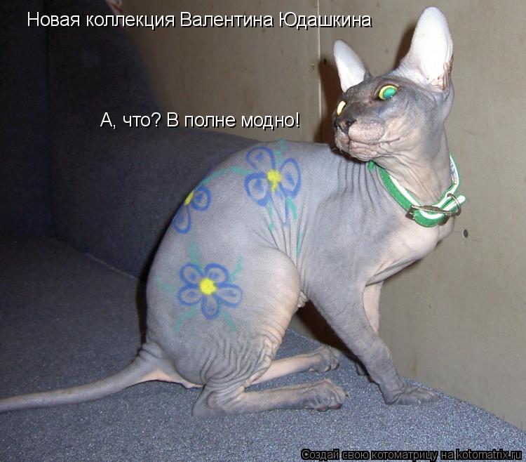 Новая коллекция Валентина Юдашкина А, что? В полне модно!... Котоматрица: Новая коллекция Валентина Юдашкина А, что? В полне модно!