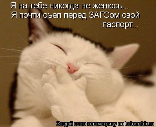 Я на тебе никогда не женюсь... Я почти съел перед ЗАГСом свой паспорт...... Котоматрица: Я на тебе никогда не женюсь... Я почти съел перед ЗАГСом свой паспорт...