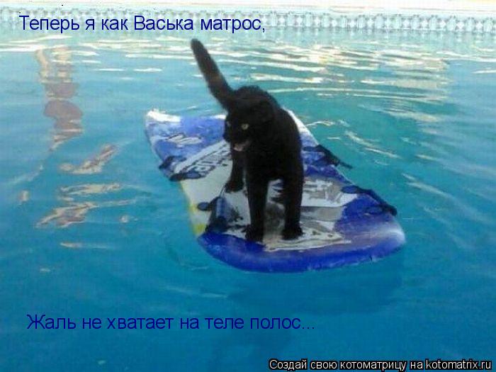 Теперь я как Васька матрос, Жаль не хватает на теле полос...... Котоматрица: Теперь я как Васька матрос, Жаль не хватает на теле полос...