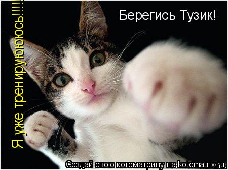 Берегись Тузик! Я уже тренируюююсь!!!!!... Котоматрица: Берегись Тузик! Я уже тренируюююсь!!!!!