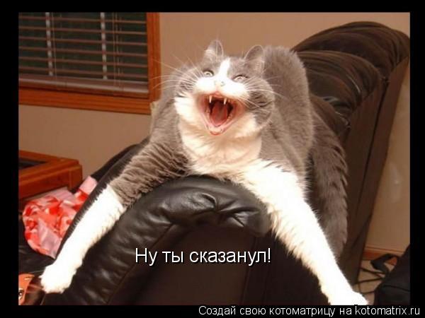 Ну ты сказанул!... Котоматрица: Ну ты сказанул!