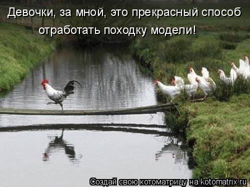 Девочки, за мной, это прекрасный способ отработать походку модели!... Котоматрица: Девочки, за мной, это прекрасный способ отработать походку модели!