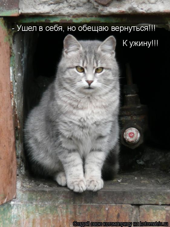 - Ушел в себя, но обещаю вернуться!!! К ужину!!!... Котоматрица: - Ушел в себя, но обещаю вернуться!!! К ужину!!!