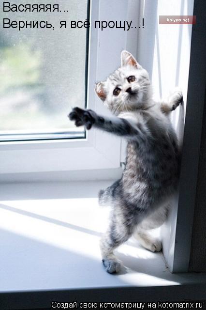 Васяяяяя... Вернись, я всё прощу...!... Котоматрица: Васяяяяя... Вернись, я всё прощу...!