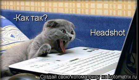 Headshot -Как так?... Котоматрица: Headshot -Как так?