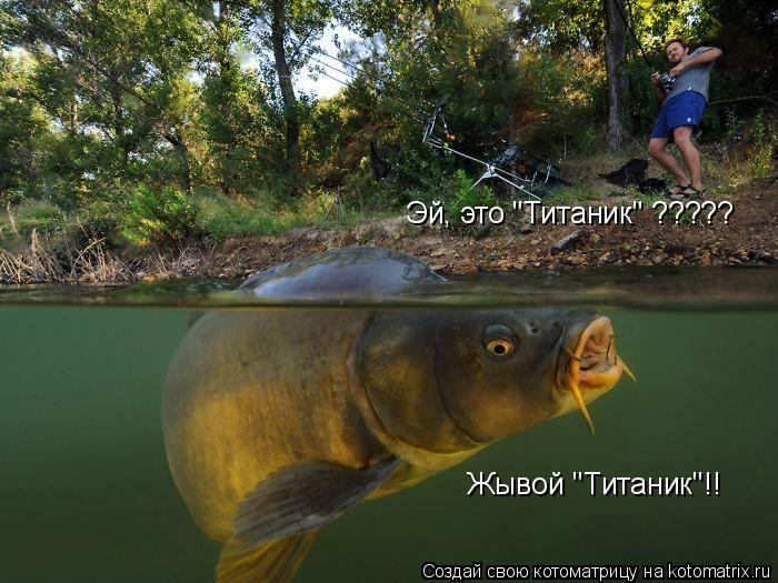 Эй, это 'Титаник' ????? Жывой 'Титаник'!!... Котоматрица: Эй, это 'Титаник' ????? Жывой 'Титаник'!!