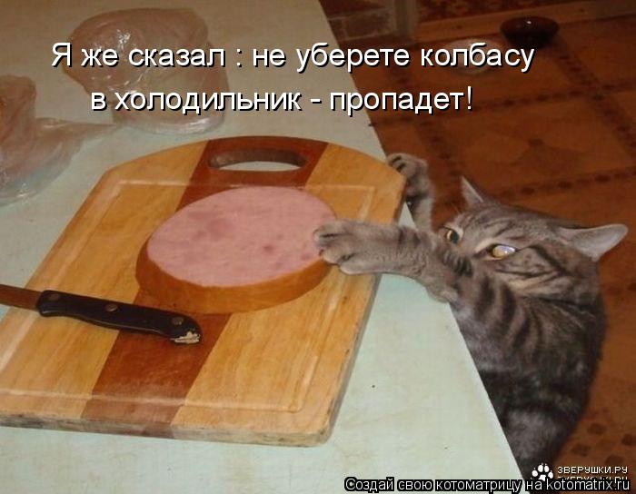 Котоматрица: Я же сказал : не уберете колбасу в холодильник - пропадет!