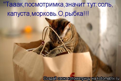 "Тааак,посмотримка,значит тут:соль, капуста,морковь.О,рыбка!!!... Котоматрица: "Тааак,посмотримка,значит тут:соль, капуста,морковь.О,рыбка!!!