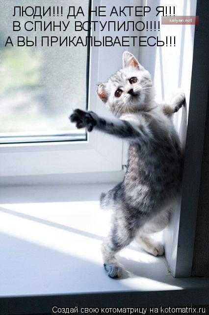 ЛЮДИ!!! ДА НЕ АКТЕР Я!!! В СПИНУ ВСТУПИЛО!!!! А ВЫ ПРИКАЛЫВАЕТЕСЬ!!!... Котоматрица: ЛЮДИ!!! ДА НЕ АКТЕР Я!!! В СПИНУ ВСТУПИЛО!!!! А ВЫ ПРИКАЛЫВАЕТЕСЬ!!!