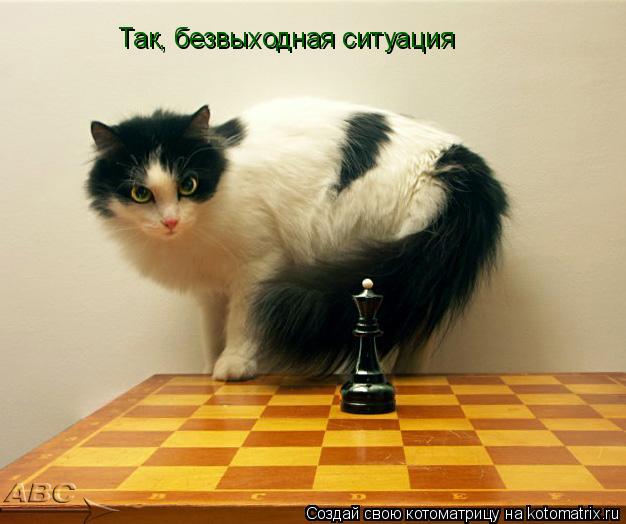 Котоматрица: Так, безвыходная ситуация