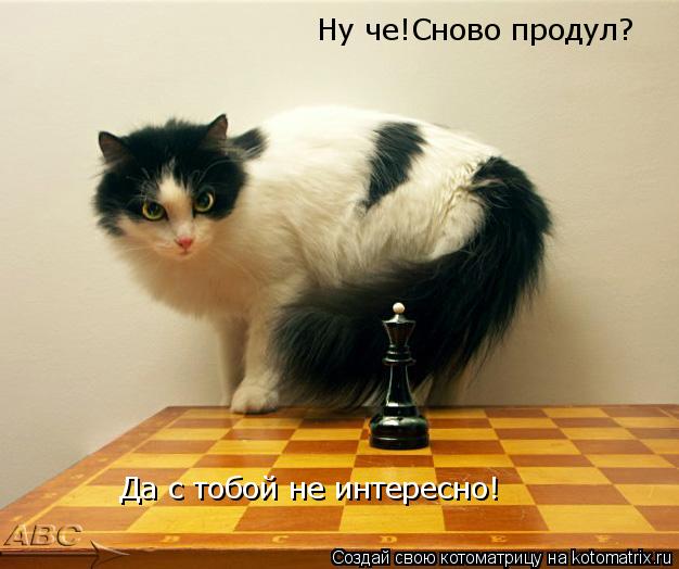 Ну че!Сново продул? Да с тобой не интересно!... Котоматрица: Ну че!Сново продул? Да с тобой не интересно!