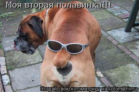 Моя вторая полавинка!!!... Котоматрица: Моя вторая полавинка!!!